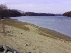 20110313 134352.jpg